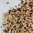 Mix de Quinoa (Granel - Preo 100 Gr)